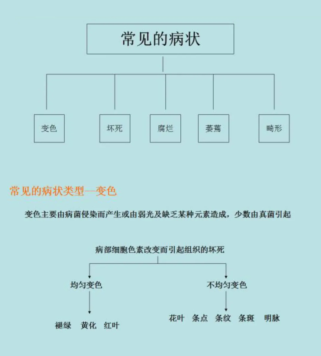 植物病害分类识别