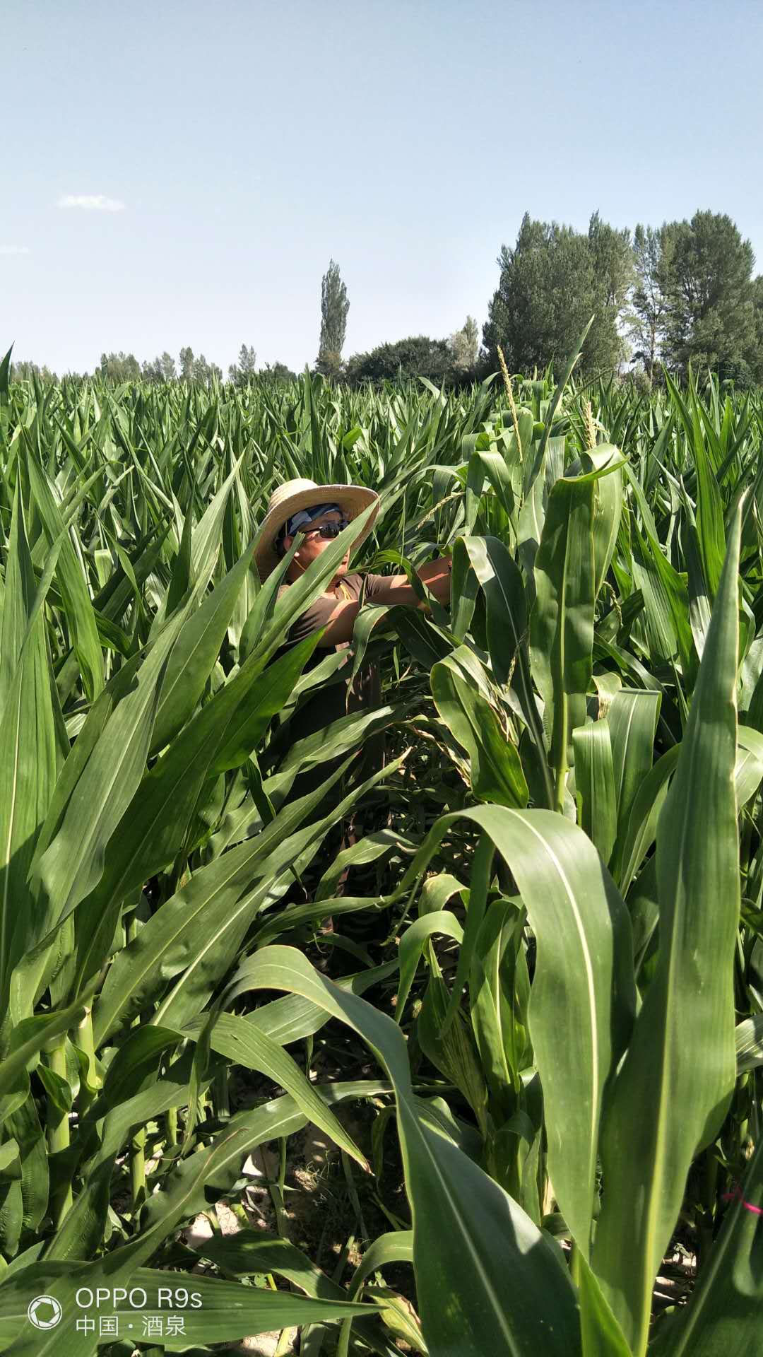 1594094027102968.jpg 4.jpg