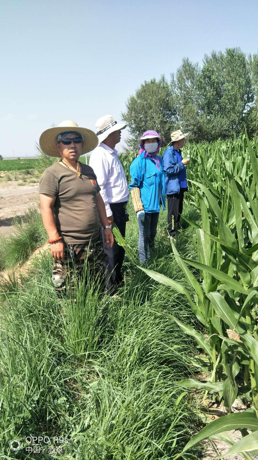 1594094043339723.jpg 5.jpg