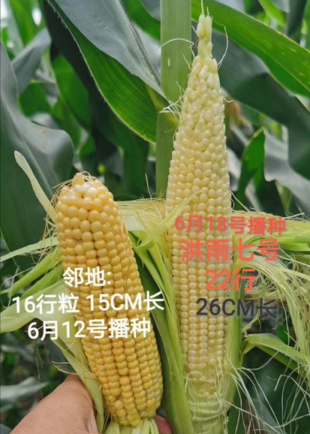 1598504040963500.png 微信图片_20200827125012.png
