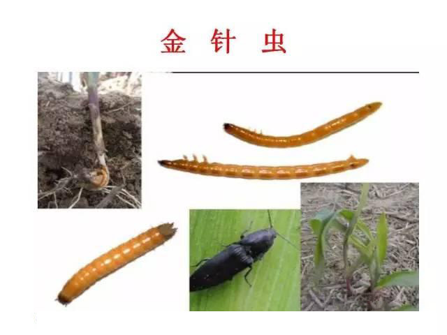微信图片_20210629180128.jpg