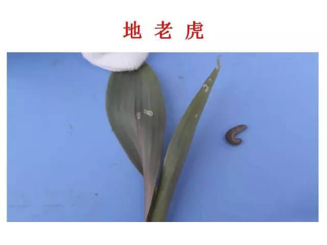 微信图片_20210629180620.jpg