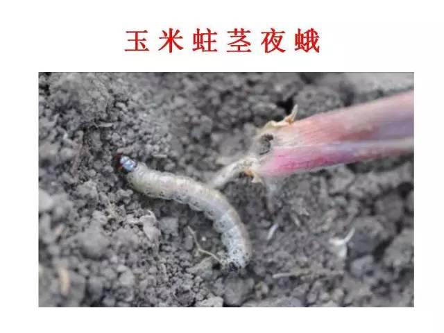 微信图片_20210629180627.jpg