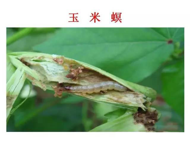 微信图片_20210629180632.jpg