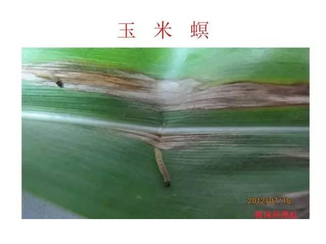 微信图片_20210629180636.jpg