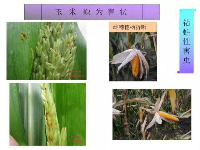 微信图片_20210629180644.jpg