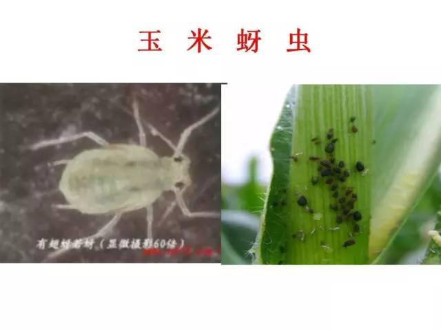 微信图片_20210629180658.jpg