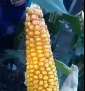 微信图片_20210816093808.jpg